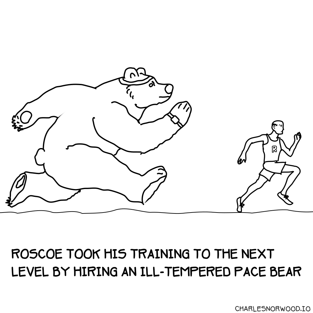 Pace Bear